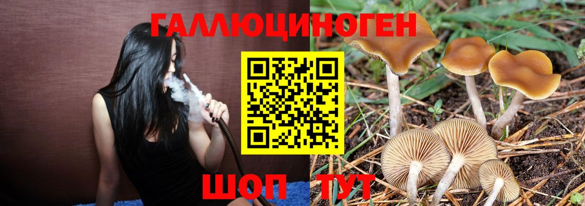 Галлюциногенные грибы Cubensis Грозный