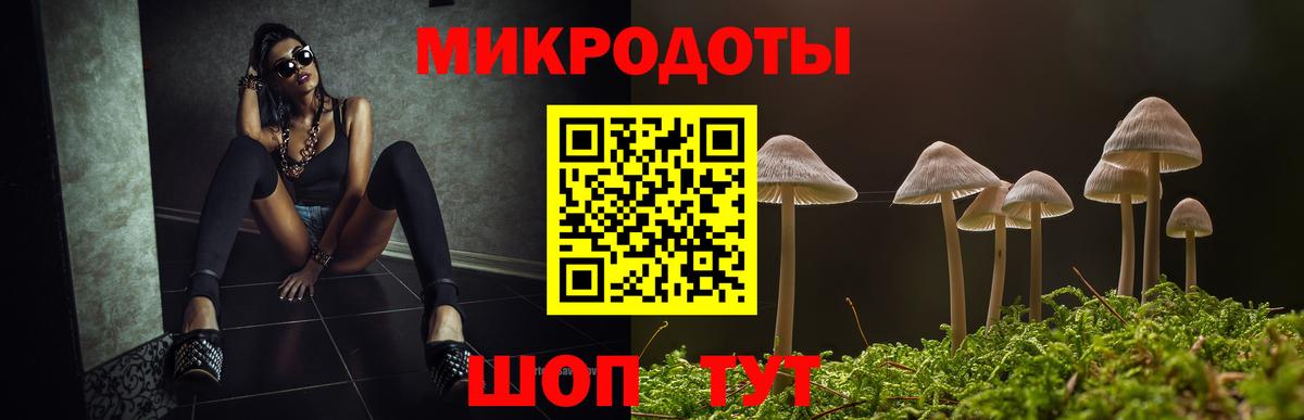 Грозный  Галлюциногенные грибы Psilocybine cubensis  Вход с VPN  Псилоцибиновые грибы Psilocybine cubensis 